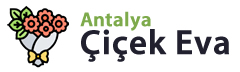 Antalya Çiçekçi - Antalya Çiçek Siparişi - Çiçek Eva