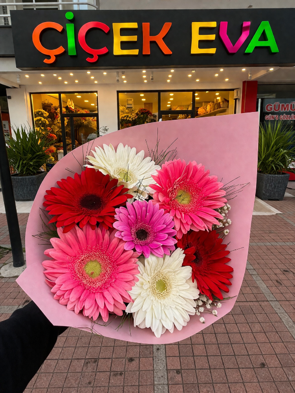  Antalya Çiçekçi - Karısık 7 Gerbera Buketi