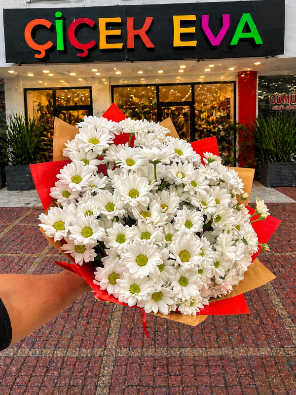  Antalya Çiçekler - Büyük Beyaz Papatya Buketi