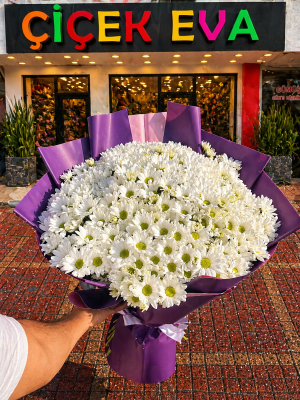  Antalya Çiçekçiler - Dev Beyaz Papatya Buketi