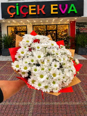  Antalya Çiçekler - Büyük Beyaz Papatya Buketi