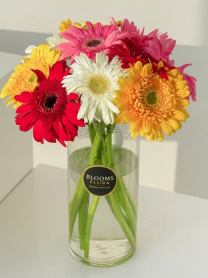  Antalya Çiçek Gönder - Vazoda Rengarenk Jerberalar